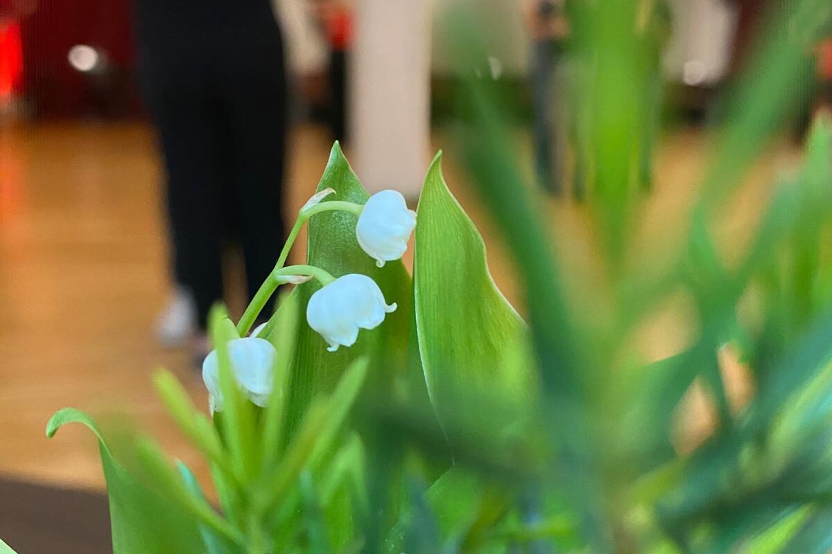 Du betrachtest gerade Save the Date: Tanz in den Mai im MAXIXE